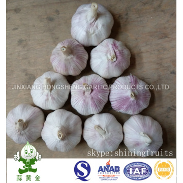 Normal White Garlic New Crop 2016 De Jinxiang da China